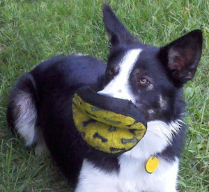 Silly Dude with frisbee toy for lips